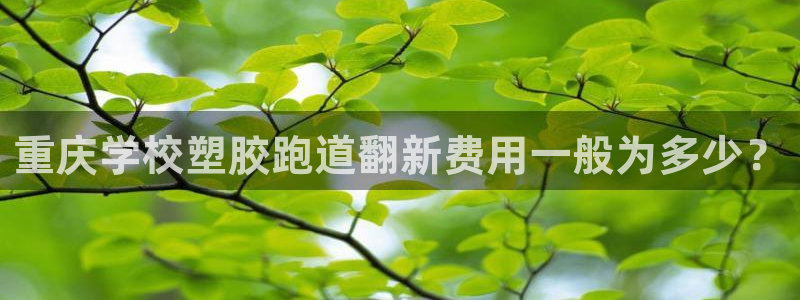 红足1世足球比分预测：重庆学校塑胶跑道翻新费用一般为多少？